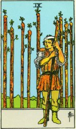 Image 32
