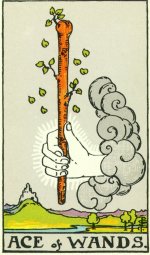 Image 40